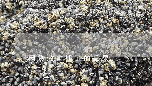 网贷款逾期了的后果 网贷款逾期了的后果