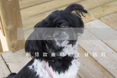 网贷款逾期会上征信吗 网贷款逾期会上征信吗