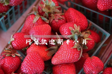 网贷款逾期半个月 网贷款逾期半个月