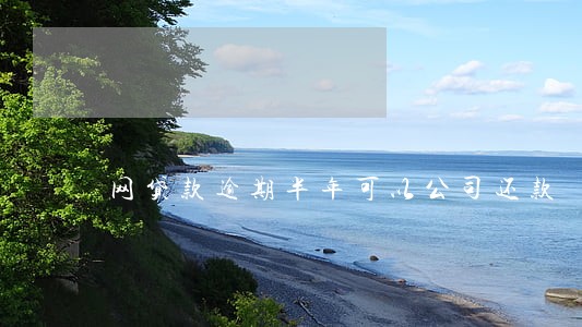 网贷款逾期半年可以公司还款