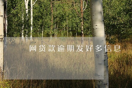 网贷款逾期发好多信息 网贷款逾期发好多信息