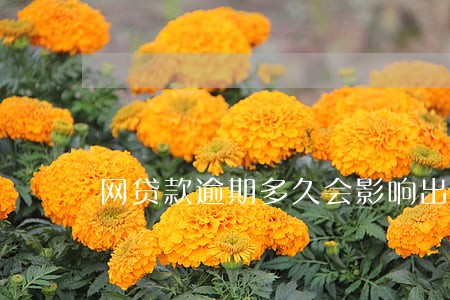 网贷款逾期多久会影响出行 网贷款逾期多久会影响出行