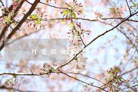 网贷款逾期多少强制执行 网贷款逾期多少强制执行