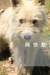 网贷款逾期怎么办理吗 网贷款逾期怎么办理吗