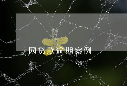 网贷款逾期案例 网贷款逾期案例