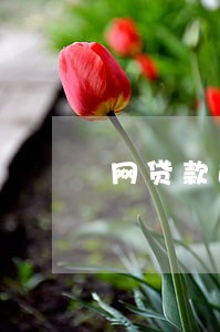 网贷款逾期没钱怎么办 网贷款逾期没钱怎么办