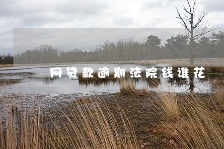 网贷款逾期法院钱谁花 网贷款逾期法院钱谁花