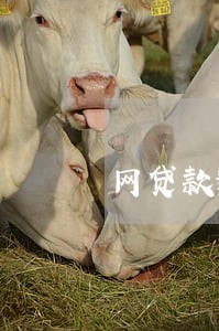 网贷款逾期费用高 网贷款逾期费用高