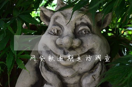 网贷款逾期走访调查