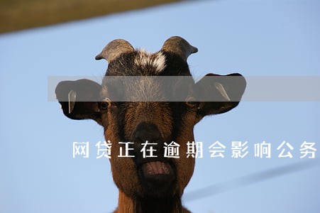 网贷正在逾期会影响公务员考试吗 网贷正在逾期会影响公务员考试吗