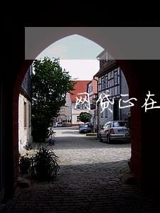 网贷正在逾期去哪里还能借 网贷正在逾期去哪里还能借