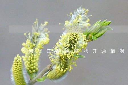 网贷正在逾期能开通借呗吗 网贷正在逾期能开通借呗吗