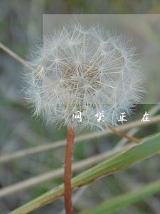 网贷正在逾期能房贷吗 网贷正在逾期能房贷吗