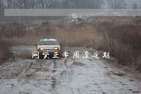 网贷正常用没逾期 网贷正常用没逾期