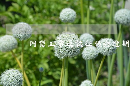 网贷正常还款征信会逾期嘛 网贷正常还款征信会逾期嘛