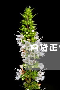 网贷正常逾期多久上征信 网贷正常逾期多久上征信