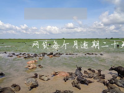 网贷每个月逾期二十天 网贷每个月逾期二十天