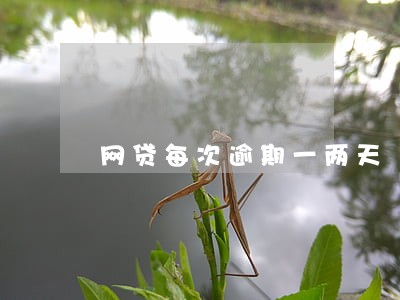 网贷每次逾期一两天 网贷每次逾期一两天