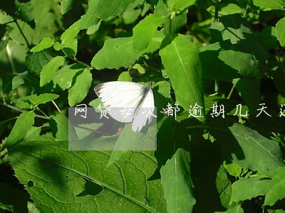 网贷每次都逾期几天还款 网贷每次都逾期几天还款