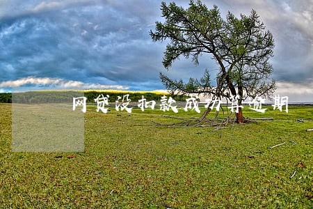网贷没扣款成功算逾期 网贷没扣款成功算逾期