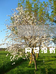 网贷没有上征信逾期 网贷没有上征信逾期