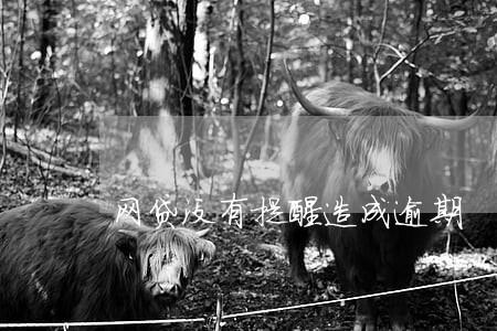 网贷没有提醒造成逾期