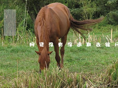 网贷没有没逾期去银行贷款吗 网贷没有没逾期去银行贷款吗