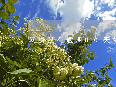 网贷没有逾期80天被代偿 网贷没有逾期80天被代偿