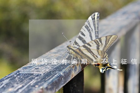 网贷没有逾期上不上征信吗