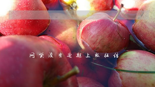 网贷没有逾期上报征信 网贷没有逾期上报征信