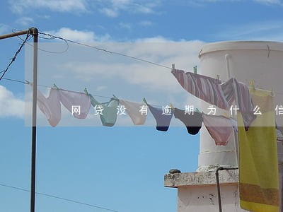 网贷没有逾期为什么信用不足 网贷没有逾期为什么信用不足