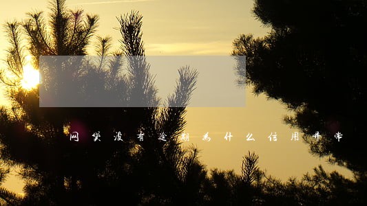 网贷没有逾期为什么信用异常 网贷没有逾期为什么信用异常