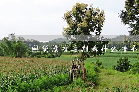 网贷没有逾期为什么借不了了 网贷没有逾期为什么借不了了