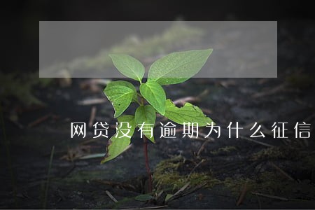 网贷没有逾期为什么征信不良呢 网贷没有逾期为什么征信不良呢