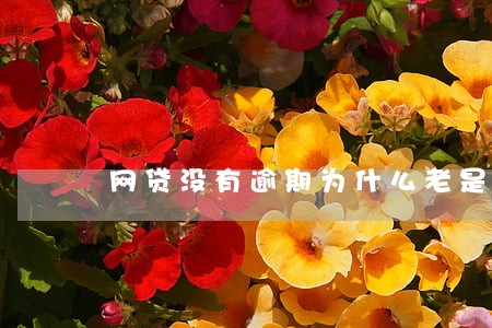 网贷没有逾期为什么老是接到电话