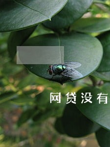 网贷没有逾期为什么还会被银行拒
