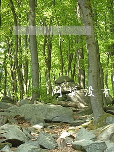 网贷没有逾期买车能贷款吗 网贷没有逾期买车能贷款吗