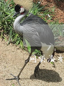 网贷没有逾期会上征信嘛 网贷没有逾期会上征信嘛