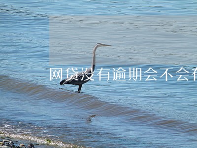 网贷没有逾期会不会有事