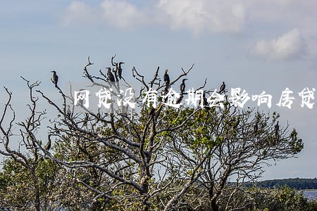 网贷没有逾期会影响房贷申请吗 网贷没有逾期会影响房贷申请吗