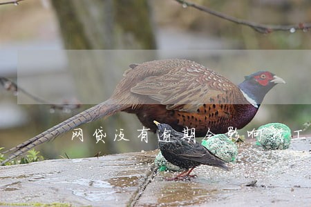 网贷没有逾期会影响找工作吗 网贷没有逾期会影响找工作吗