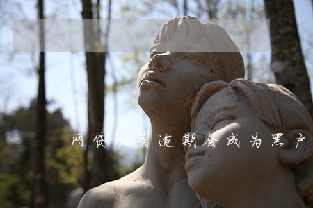 网贷没有逾期会成为黑户吗