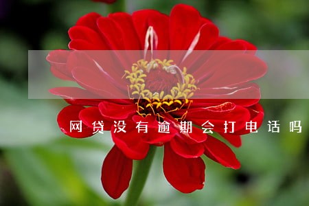 网贷没有逾期会打电话吗 网贷没有逾期会打电话吗