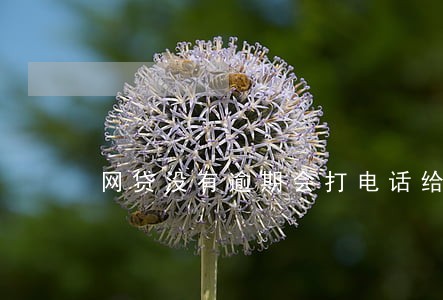 网贷没有逾期会打电话给家人吗 网贷没有逾期会打电话给家人吗