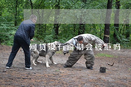 网贷没有逾期会被拒吗 网贷没有逾期会被拒吗