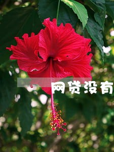 网贷没有逾期但是一直被拒 网贷没有逾期但是一直被拒