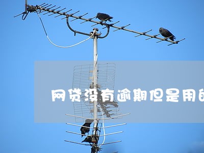 网贷没有逾期但是用的比较多 网贷没有逾期但是用的比较多