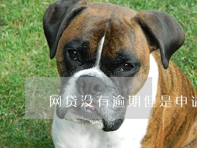 网贷没有逾期但是申请不了 网贷没有逾期但是申请不了