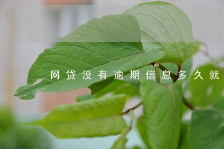网贷没有逾期信息多久就会清除 网贷没有逾期信息多久就会清除