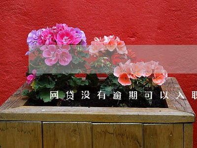 网贷没有逾期可以入职吗 网贷没有逾期可以入职吗